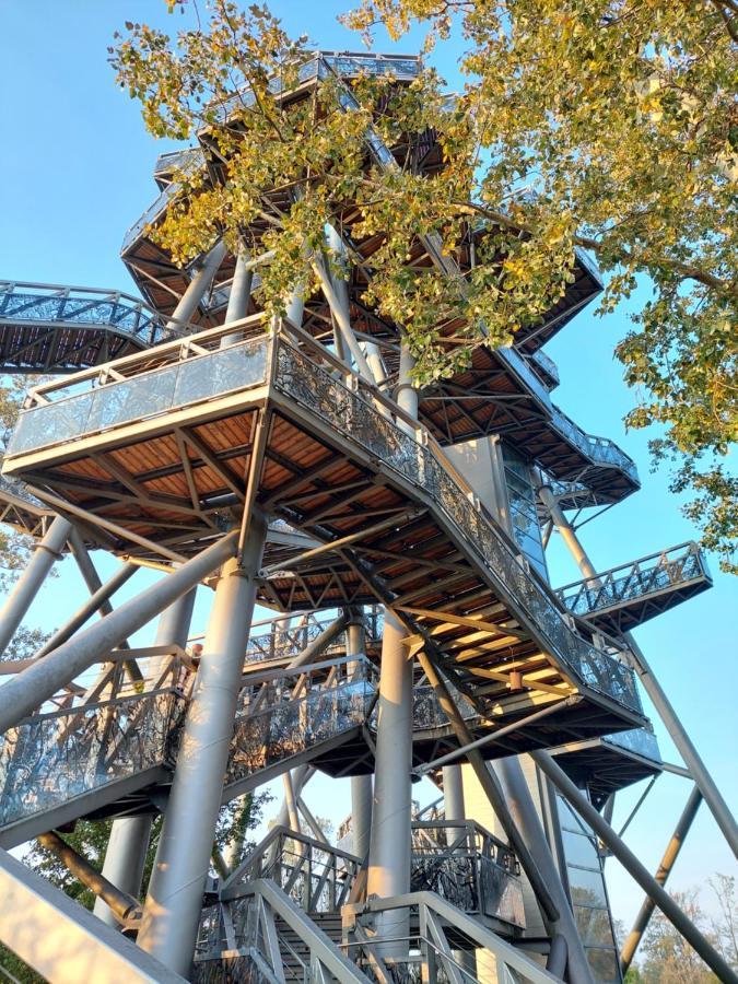 ווילפרסדורף Pension Welserhof מראה חיצוני תמונה